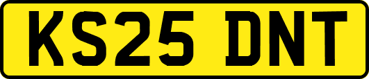 KS25DNT