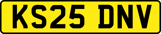 KS25DNV