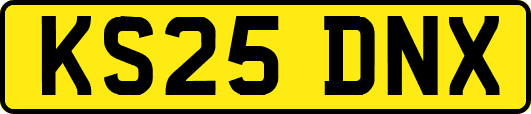 KS25DNX