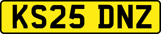 KS25DNZ