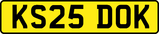 KS25DOK