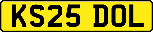 KS25DOL