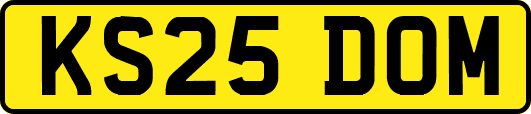 KS25DOM