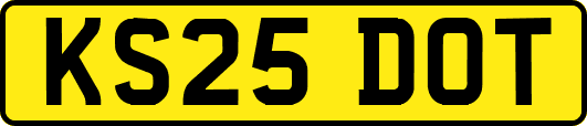 KS25DOT