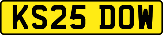 KS25DOW