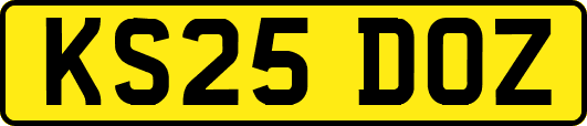 KS25DOZ