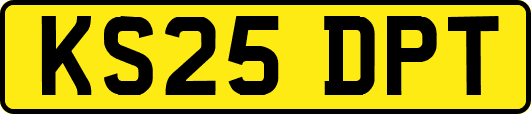 KS25DPT