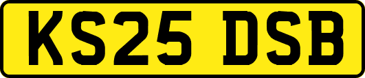 KS25DSB