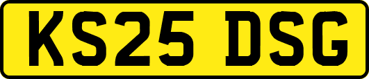 KS25DSG