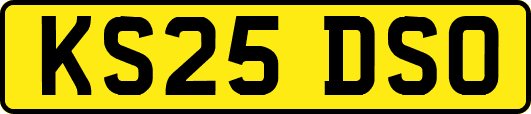 KS25DSO