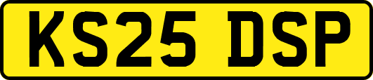 KS25DSP