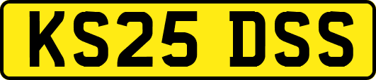 KS25DSS