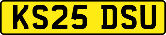 KS25DSU