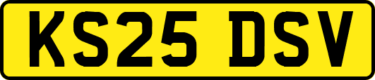 KS25DSV