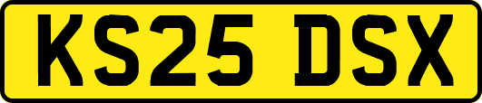 KS25DSX