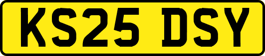 KS25DSY