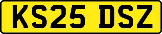 KS25DSZ