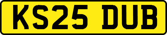 KS25DUB