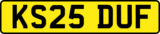 KS25DUF