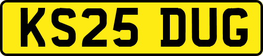 KS25DUG