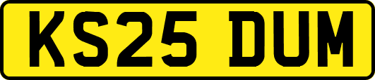 KS25DUM