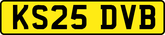 KS25DVB