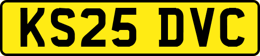 KS25DVC