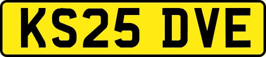 KS25DVE