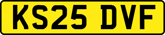 KS25DVF