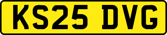 KS25DVG
