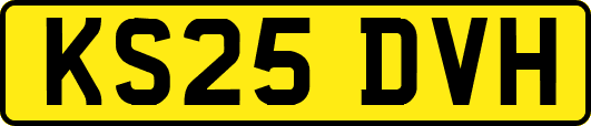 KS25DVH