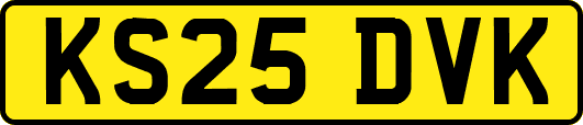 KS25DVK