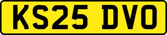 KS25DVO