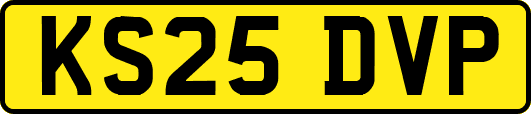 KS25DVP