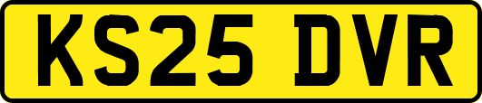 KS25DVR