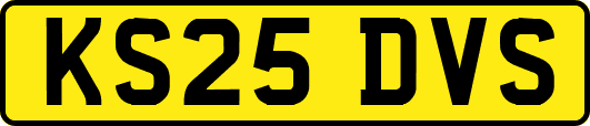 KS25DVS