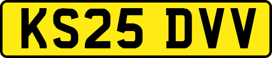 KS25DVV