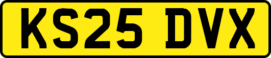 KS25DVX