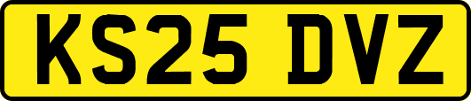 KS25DVZ