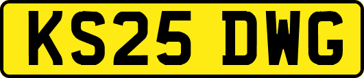 KS25DWG