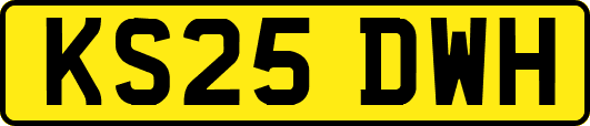 KS25DWH
