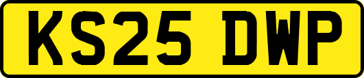 KS25DWP