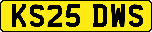 KS25DWS