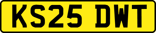 KS25DWT