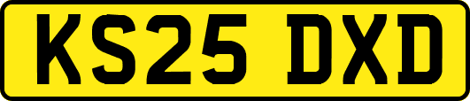 KS25DXD
