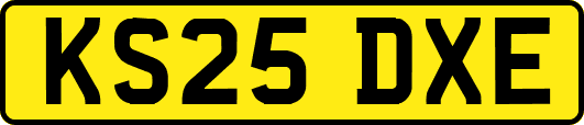 KS25DXE