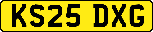 KS25DXG