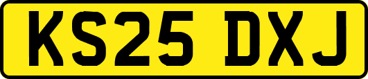 KS25DXJ