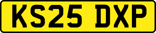KS25DXP