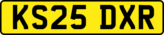 KS25DXR